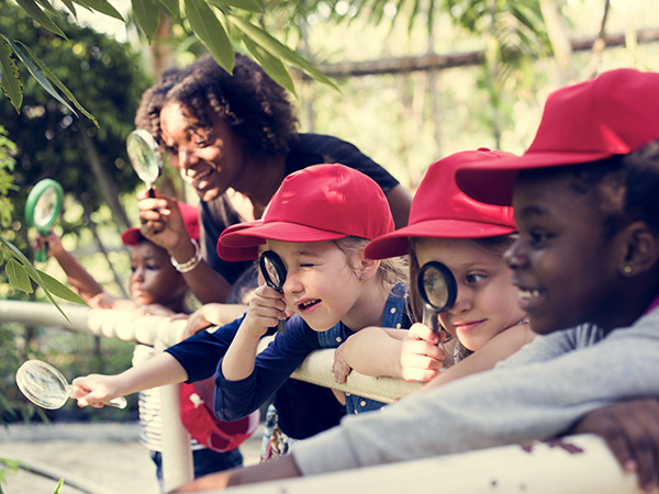 School Trip to a Garden